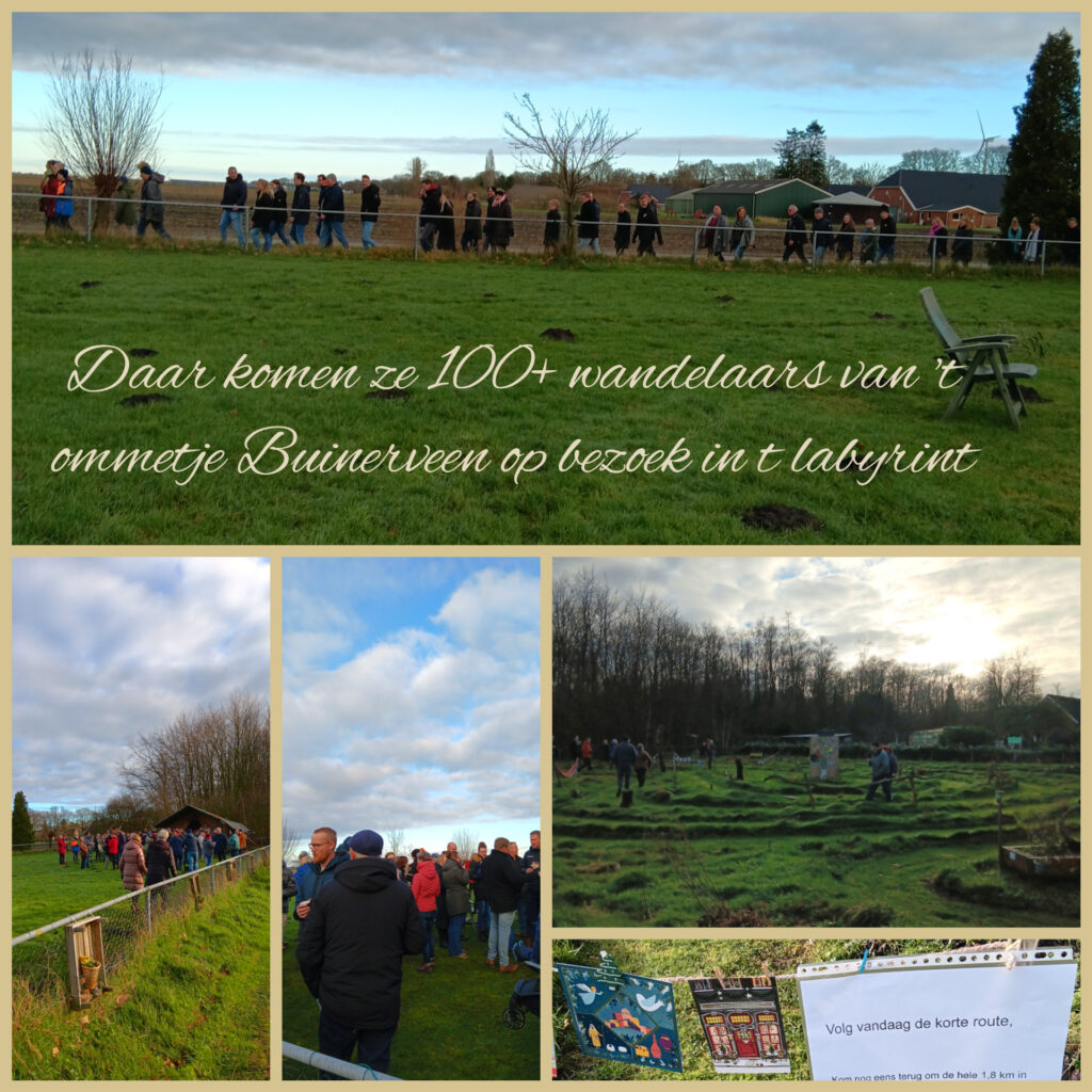 Deze afbeelding heeft een leeg alt-attribuut; de bestandsnaam is PhotoCollage_20250112_171707491-2-1024x1024.jpg