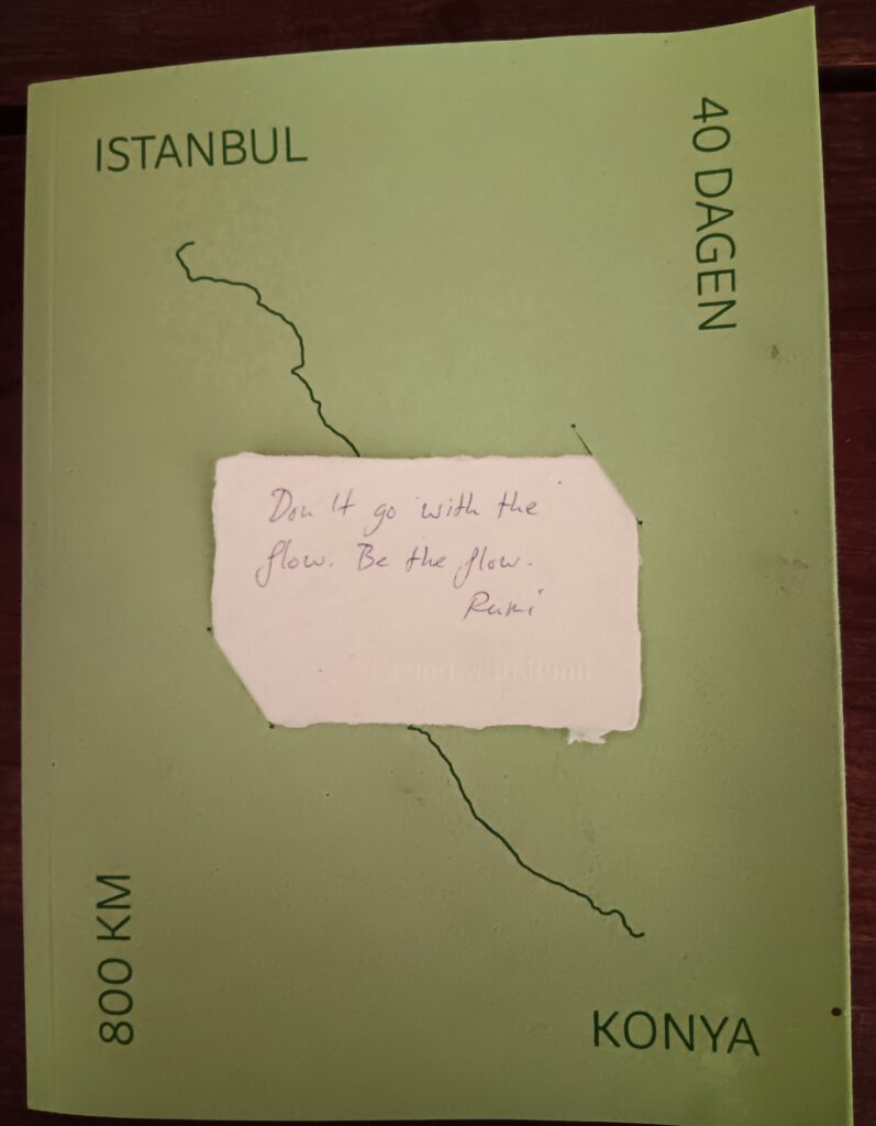 Deze afbeelding heeft een leeg alt-attribuut; de bestandsnaam is rumi-boek-797x1024.jpg